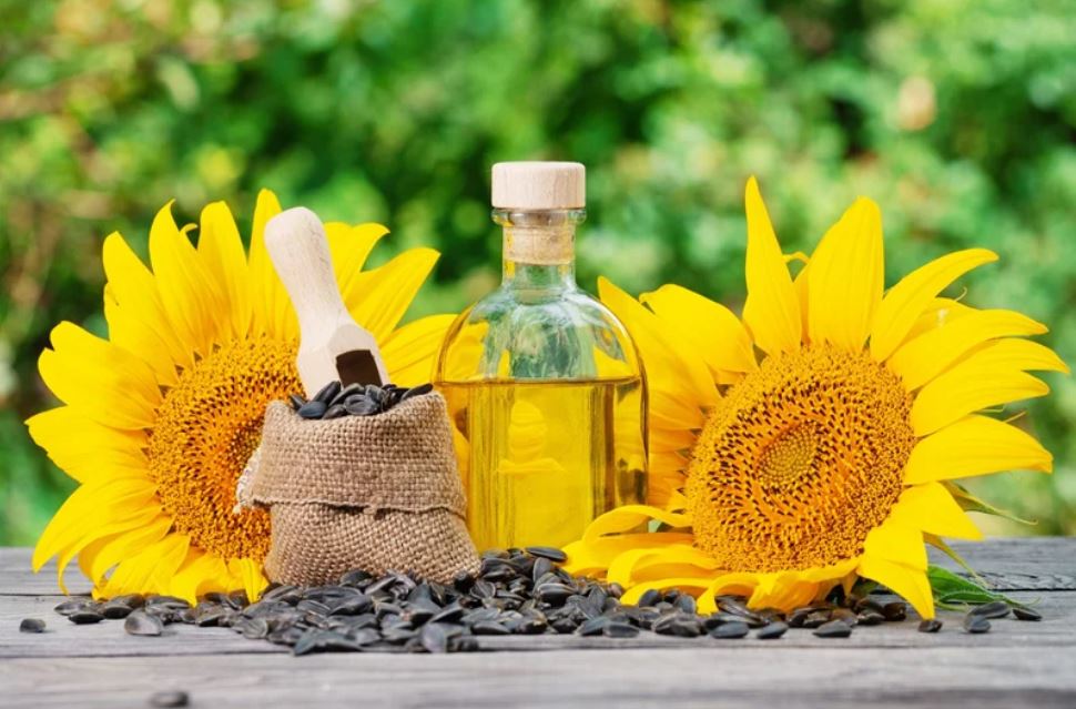 Tender for Purchase of 15,000 Tons of Sun Flower Oil from Romania and Ukraine