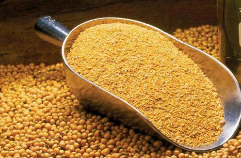 Tender for the Purchase of 50,000 Tons of Soybean Meal from Turkey