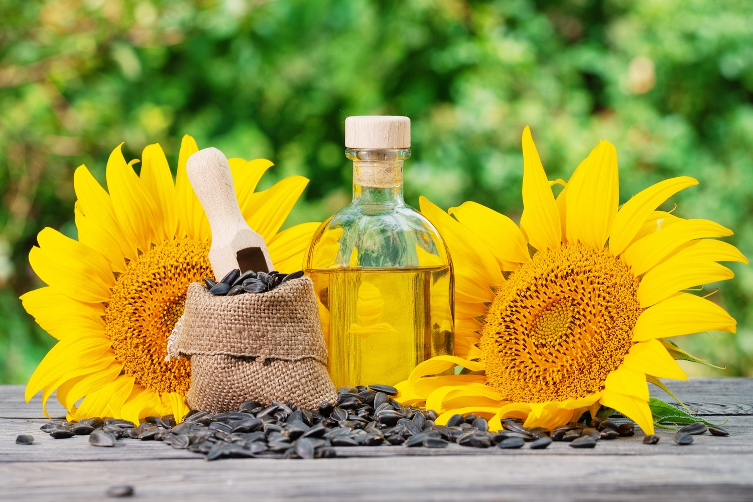2nd Tender for Purchase of 15,000 Tons of Sun Flower Oil from Romania and Ukraine