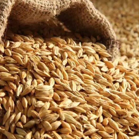 Tender for the Purchase of 70,000 Tons of Feed Barley from Romania