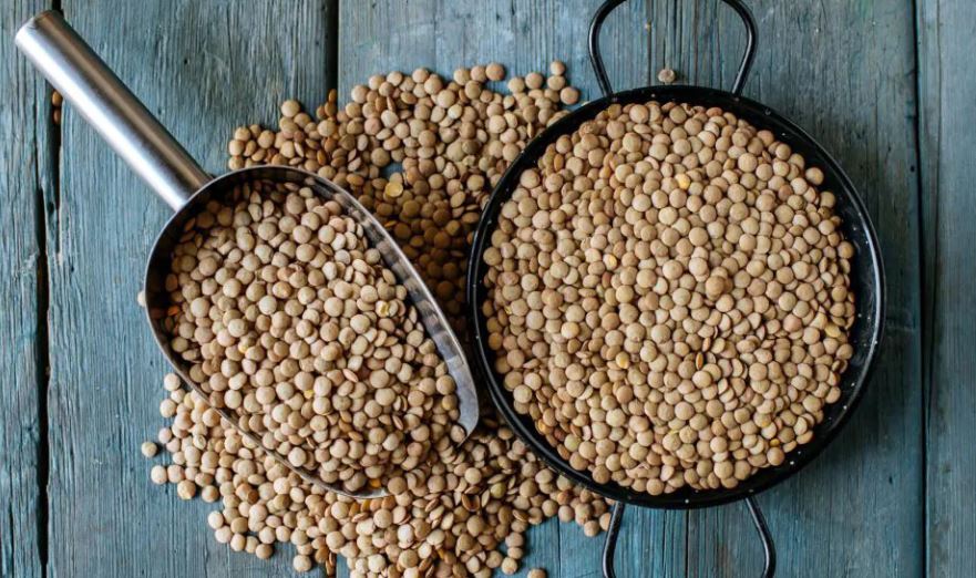 Second Call for purchase of 1,000 tons of lentil from Russia