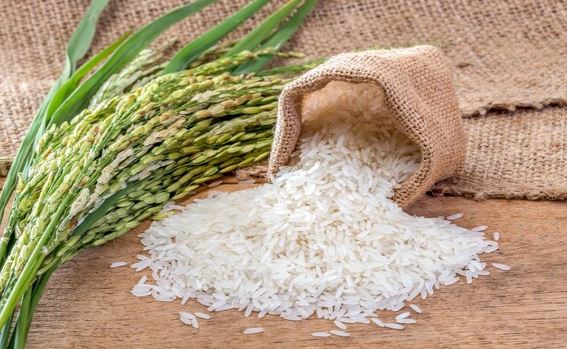 Public Tender for the Procurement of 10,000 Tons of Pakistani Basmati Rice