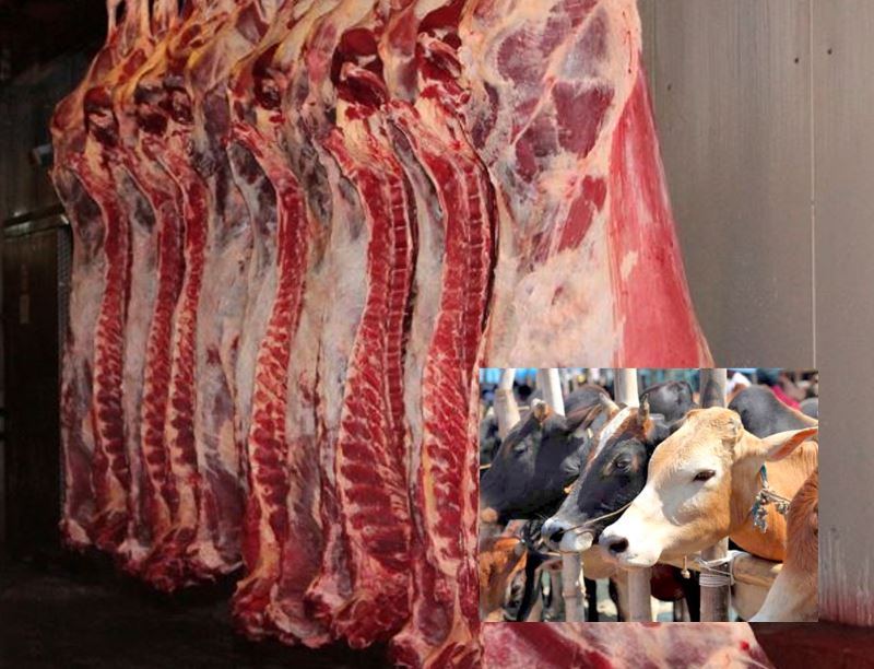 Call for purchase of 5000 tons of imported Fresh (cold) Veal carcass from Pakistan