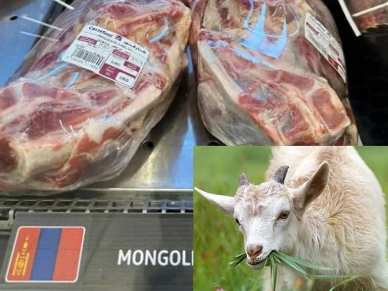 Second Call for purchase of 5,000 tons of fresh mutton and lamb meat from Mongolia
