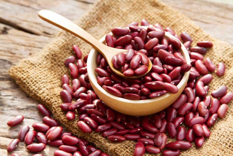 Second Call for purchase of 1,000 tons of Kidney beans from Kyrgyzstan